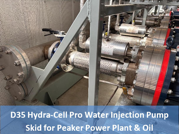 Wanner Engineering D35 Hydra-Cell Pro Pumps for NOx reduction