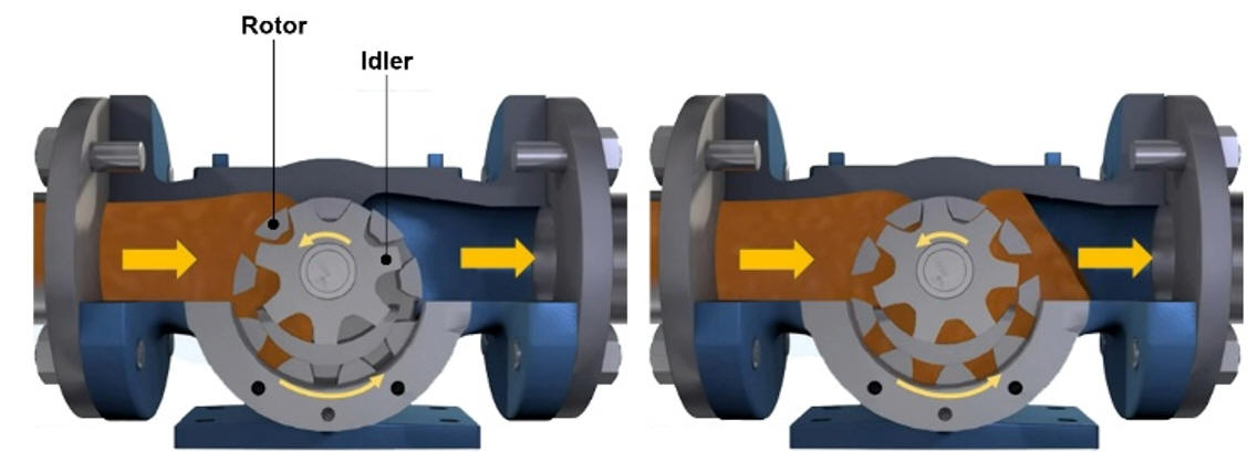 gear pump cutaway