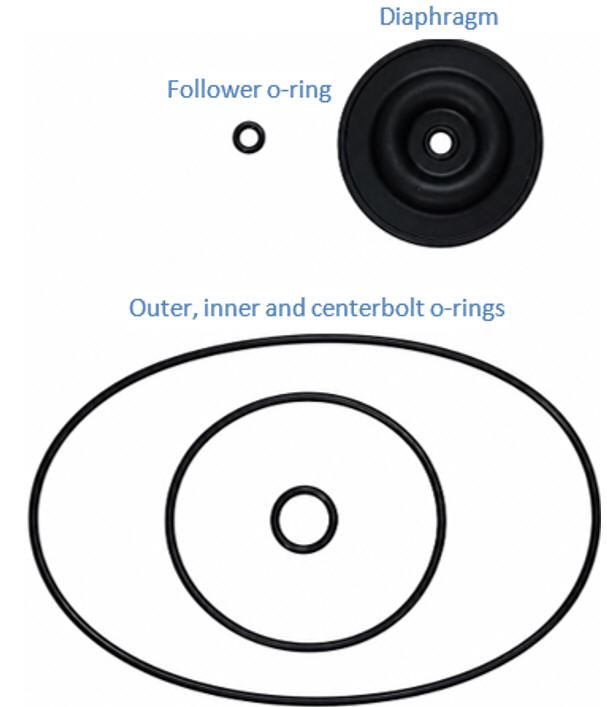 Diaphragm Kit O-rings and Components